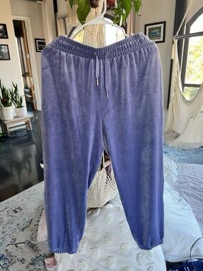 Forever 21 Velour Joggers XL